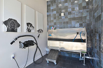 Altair Apartment dog wash