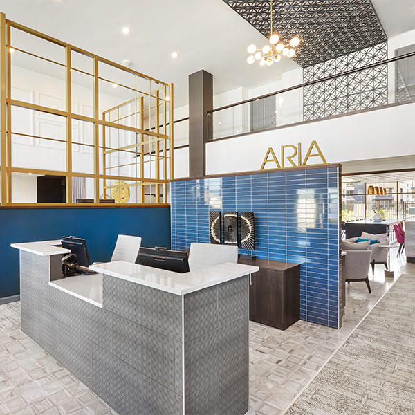 project-list-image-aria